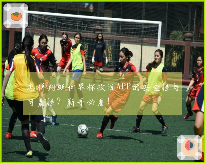 怎样判断世界杯投注APP的安全性与可靠性？新手必看！