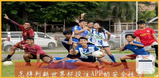 怎样判断世界杯投注APP的安全性与可靠性？新手必看！
