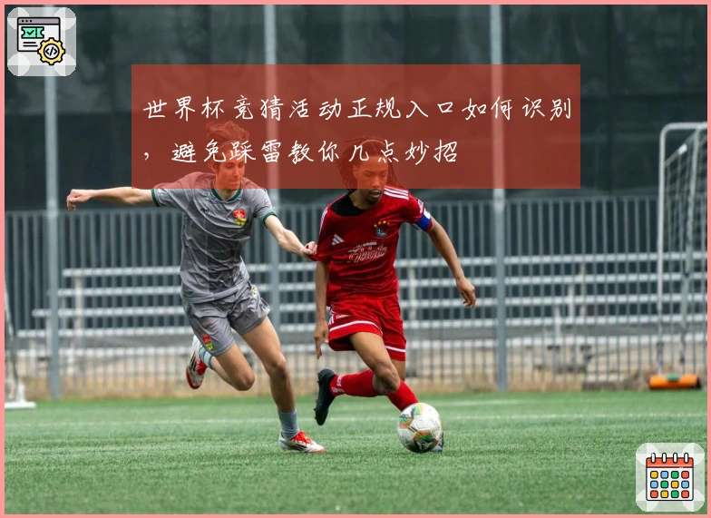 世界杯竞猜活动正规入口如何识别,避免踩雷教你几点妙招
