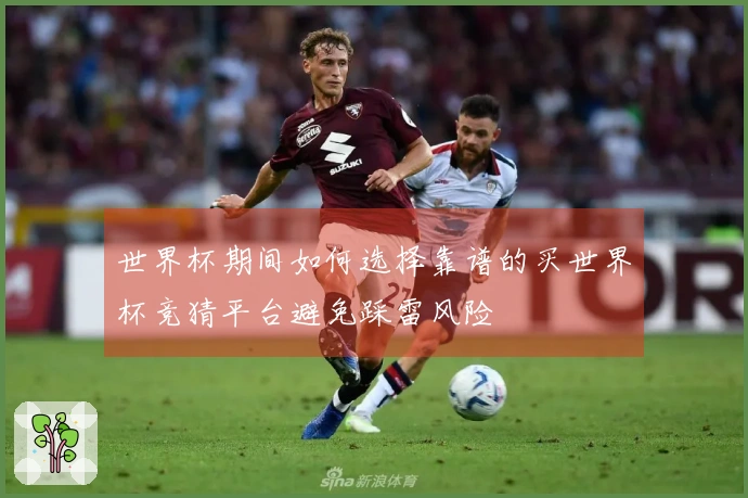 世界杯期间如何选择靠谱的买世界杯竞猜平台避免踩雷风险