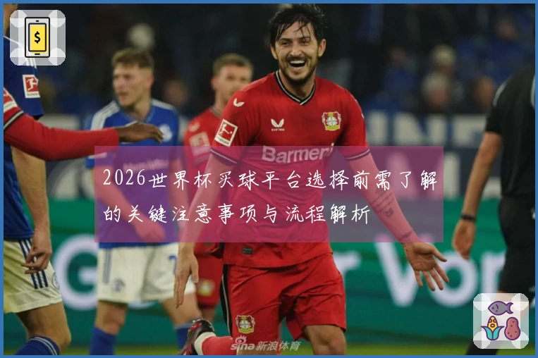 2026世界杯买球平台选择前需了解的关键注意事项与流程解析